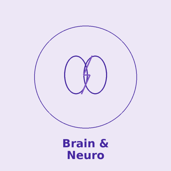 Brain Injury Association of Pennsylvania (BIAPA) - Statewide Support