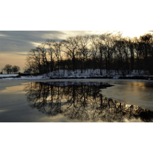 Support Each Other – Suicide Loss Survivors (Greenwich, CT)