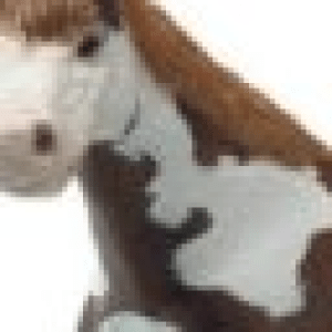 Vitiligo Friends Network — Peer Community for People with Vitiligo