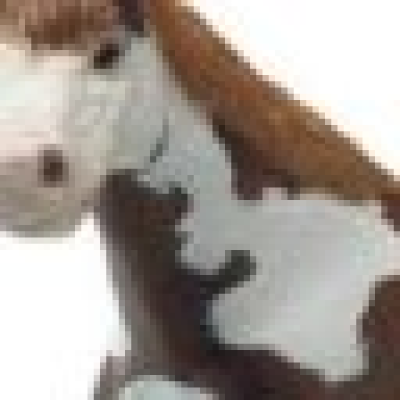 Vitiligo Friends Network — Peer Community for People with Vitiligo